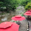 미가한식 이미지