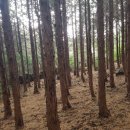 솔오름전망대 이미지