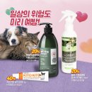 리치할인마트 이미지