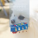 한마루약국 네이버블로그