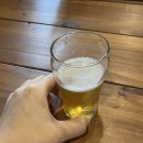 다양한 맥주 시음 후기 in 한국맥주교육원