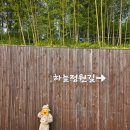 하늘 | 에버랜드 하늘정원길 후기｜가을 댑싸리 명소·포토존