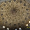 궁전 무도장 이미지