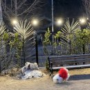 발넷이야 이미지