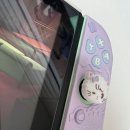 미코독 | 긱쉐어 미코(Mikko) 케이스와 칩 케이스 : 닌텐도 스위치1