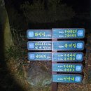 #[땅끝]옥녀(땅재)단맥제1-1구간종주-활성산(영암), 생금산(둔덕), 깃대봉(영암 강진)-지독한 가시덤불속을 가위질을 멈추지 못하고 이미지