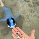 하도방학 이미지