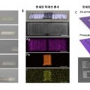 [2025 DAILY PICK 제187호] '전자 눈 초소형 적외선 센서, 상온에서 3D프린터로 찍어낸다' 등 이미지