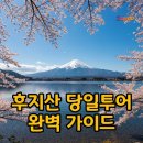(주)샘물투어 | 가와구치코·오시노핫카이 후지산 당일투어 후기, 도쿄여행 버스투어 완벽 정리