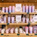 MD원아파트 | 2026 스타벅스 체리블라썸 MD 오픈런 다녀온 후기, 실물 깡패는 따로 있더라