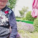 영통효요양병원