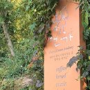 꿈꾸는연구소 언가 이미지