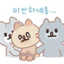 엔젤동전노래연습장 이미지