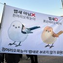 너네 뱁새 제대로 알고 불러라 잘못부르면 큰일난다 진짜 이미지