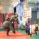 점보빌리지 이미지