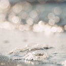 바다의 꿈 이미지
