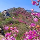 제580차 전남도 강진 주작산 암능 과 진달래산행 (4월 1일)산행 전국 다량산불로 인해 주작산입산(入山)통재로산행 (山行)취소합니다 이미지