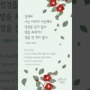 오늘의 '신앙 명언'(235강) 더글러스 맥아더(Douglas McArthur) 이미지