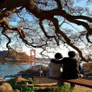 BBC당구장 이미지