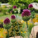 9월맞이 이벤트 이미지