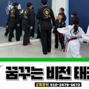 비전태권도장 이미지
