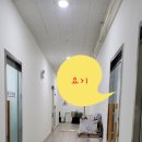 레벨리케이크 이미지