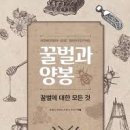 정헌관