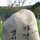 장성편백숲황토펜션 이미지