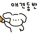 애견카페 포 이미지
