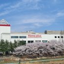 스테이 포근 이미지