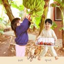 문가네옛날과자 | 제주도 체험 농장 ① ‘딸기나무’ ② 바나나, 열대 과일 농장 ‘유진팡’