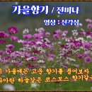 241003-가울 향기/ 전미나CapCur,AI음악 적용 이미지