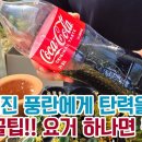 쭈글해진 풍란과 탄력 성장을 위한 신박 꿀팁!! 요거로 사용해보세요 금방 통통해지고 새뿌리 새신아 쑥쑥 자라나고 잘 자랍니다!! 이미지