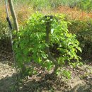 고향농장 이미지