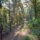 이사주당?유한규묘 이미지