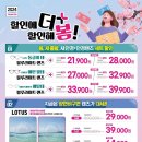 안경, 봄 네이버블로그
