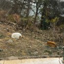 지에스풀빌라 | 여수리조트 해미리온 풀빌라 후기 – 오션뷰 미온수풀 커플 힐링 여행