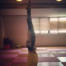 유진 카카오 검색결과