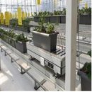 뿌리축산 이미지