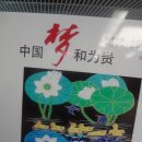 진강 여행14 - 뉴스를 보고는 터미널에서 양저우행 버스를 타다! 이미지