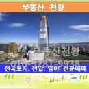 대지카센타 이미지