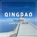 산동-1 | 중국 칭다오 3박4일 Ep.1 산동항공 SC4610 후기 칭다오 공항 택시 타는 곳 시내가는법