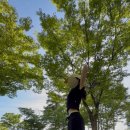 양금양꼬치 | 저 또 왔어요