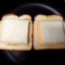 네모토스트 이미지