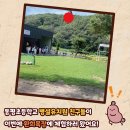 동평초등학교 병설유치원 이미지