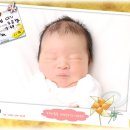 박종단 네이버블로그