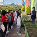 초롱초등학교 이미지