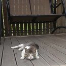 해주가든 이미지