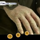 천연(에코)환경 이미지