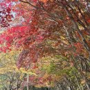 금산분소주차장 | [공지] 광주 무등산 의병길, 원효계곡